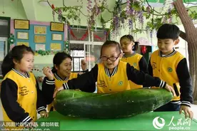浑身是宝治咳排痰！4个冬瓜食疗方搭配吃起来图片