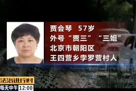 北京58岁“女村霸”欺行霸市14年，获刑15年图片