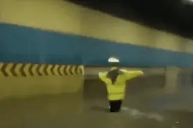 暴雨中获救的流浪猫，也在警队找到工作了图片