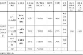 花样年首入重庆 6.2亿元拿下西永组团地块图片
