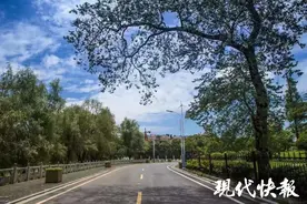 南京“四好农路”哪里强？浦口区成为二季度“颜值担当”图片