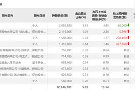智动力四改定增方案，半年报净利下滑、机构逆势加仓图片