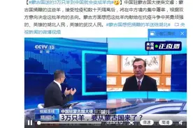 中国驻蒙古国大使：蒙古国送的3万只羊到中国就会变成羊肉图片