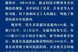 “车祸后10吨猪肉遭哄抢”，5人被拘留图片