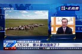 蒙古国送的3万只羊会变成美味，蒙古国想把羊肉献给武汉人民图片