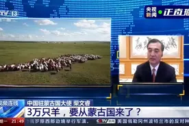 蒙古国送的3万只羊会变成美味，蒙古国想把羊肉献给武汉人民图片