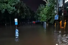 不足半小时！300余人集结完毕图片
