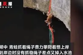 井底蛙顺着绳子往上爬，不少人被感动，网友：想我那只去旅行的青蛙了图片