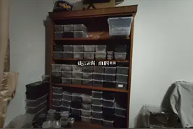 毛骨悚然！杭州城北居民楼里藏着盘丝洞？一小伙与数千只蜘蛛同吃同住图片
