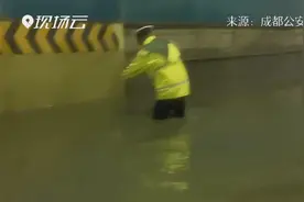 暖心！积水中有猫被困 交警涉水救回图片