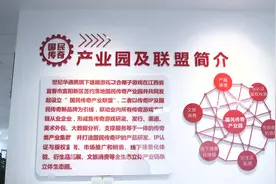 一个联盟两个延伸  打造为实体经济服务的平台视频封面