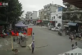 佛山一老人被狗绊倒后身亡，狗主人逃离图片