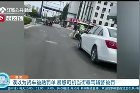 行为过激！误以为货车被贴罚单 暴怒司机当街辱骂辅警图片