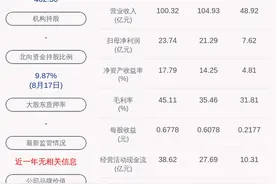 中国巨石：2020年半年度净利润约7.62亿元，同比下降27.66%图片