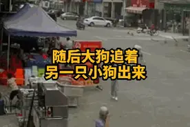 老人被狗绳绊倒身亡，牵狗女孩逃离现场，监控拍下全过程图片