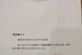 临清市实验小学学生杨艺馨被中央音乐学院附中录取图片