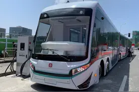 临港中运量来啦！T1示范线开建，年底就能试运营图片