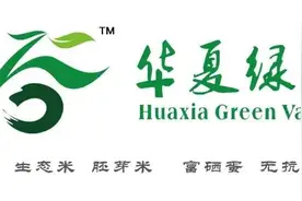香港又发生大劫案！黑衣人持大铁锤、牛肉刀洗劫百万珠宝图片