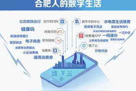 首个数字治理指数公布：合肥位列新一线城市前十图片