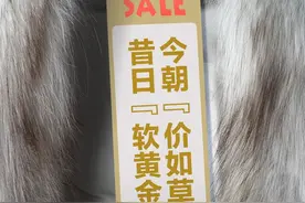 奢侈品之皮草调查丨昔日“软黄金”，如今价如“草”图片