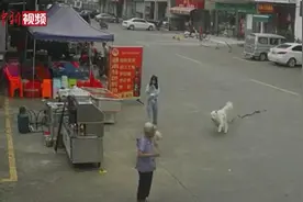 佛山88岁老人被狗绳绊倒身亡，到底谁该负责？图片