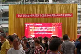 青岛威海商会多措并举 穿线搭桥投身两地建设图片