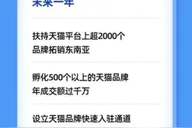 Lazada联合天猫推出“新国货出海计划”扶持2000个品牌拓销东南亚图片