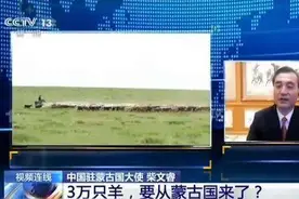 3万只羊已安排！“鲜活”国礼背后还有这些故事图片