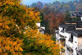 尽览安徽好风景 走进江淮大地品皖风徽韵图片
