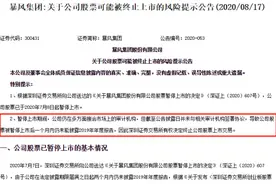 54个交易日曾39次涨停，妖股之王暴风集团如何跌落退市泥潭图片
