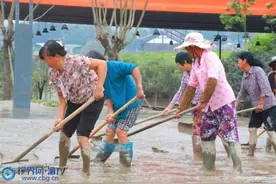 潼南：洪水渐退 蔬菜公园清淤忙图片
