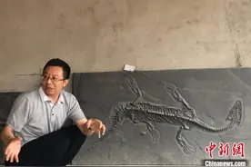 化石“迷”王军有：是“化石文化传播使者”也是“药罐子”馆长图片