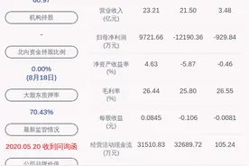 诺德股份：2020年半年度净利润约-1769万元，同比下降140.86%图片
