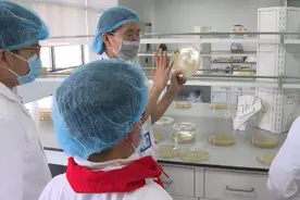 中国蓝小记者化身“小小检验员”，感受奇妙微观世界图片