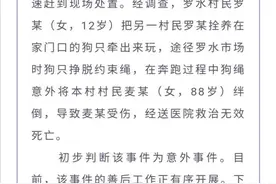 狗绳绊倒老人，谁该担责？律师：狗主人和牵狗人都有责任图片