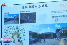 东莞扎实推动乡村振兴取得新成效视频封面