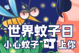 世界蚊子日，小心蚊子“叮”上你！视频封面