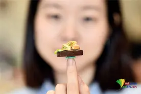 越南艺术家创作越南菜微模型超逼真图片