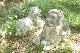 莲湖公园一对石狮藏身树丛为啥？图片