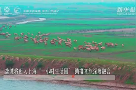 盐城将迈入上海“一小时生活圈” 助推文旅深度融合视频封面