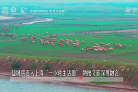 盐城将迈入上海“一小时生活圈” 助推文旅深度融合视频封面