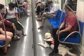 这条关于导盲犬的推送，求！扩！散图片