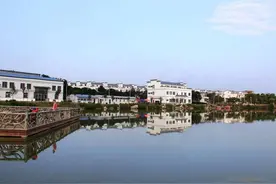 隆安：规模经营让农户收益叠加图片