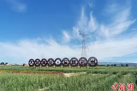 塞外“网红打卡地”：满目“黄花”遍地“金”图片