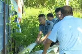 德州武城：开展驾培行业专项整治行动  精准打击乱收费、黑驾校图片