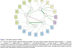 科学家揭示创伤后应激障碍的潜在症状维度网络图片
