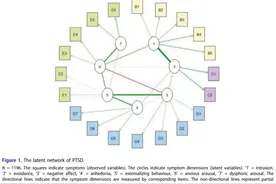 科学家揭示创伤后应激障碍的潜在症状维度网络图片
