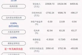 由盈转亏！维宏股份：2020年半年度净利润约-496万元，同比下降115.79%图片