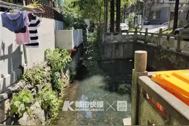 “我家前面池塘经常散发臭味，熏得窗户都开不了……”家住留下街的杭州女士很烦恼图片
