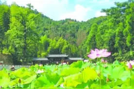 福鼎叠石：“带资入股”贫困户变股东享分红图片